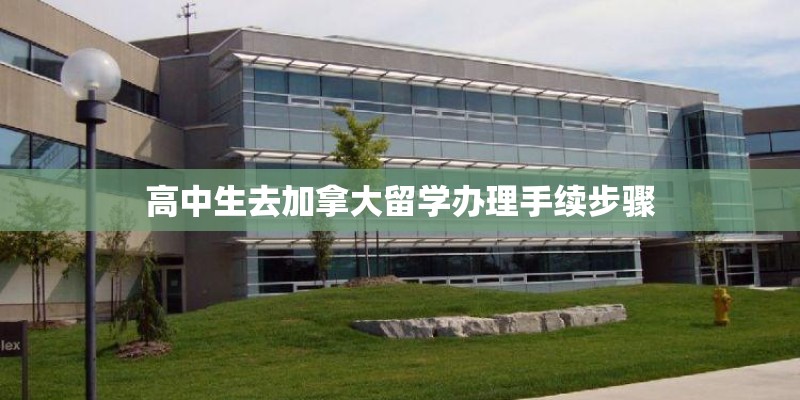 什么狗狗最漂亮
