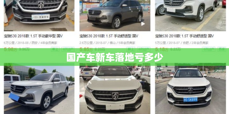 国产车新车落地亏多少