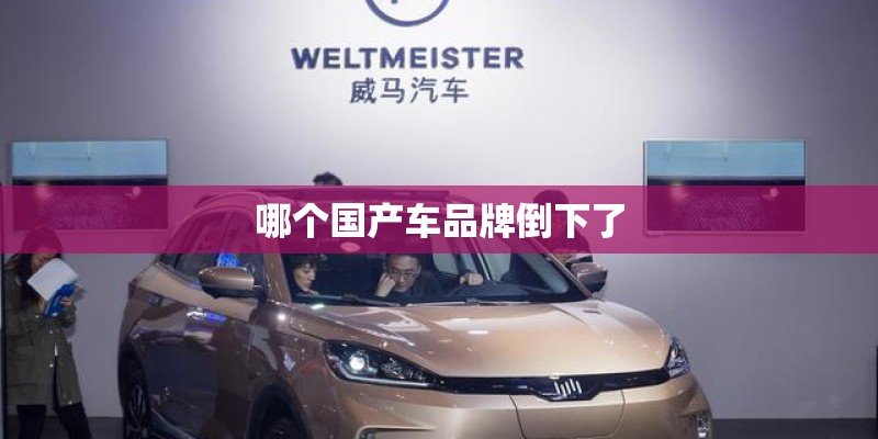 哪个国产车品牌倒下了