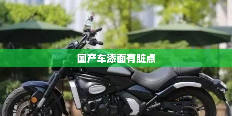 国产车漆面有脏点