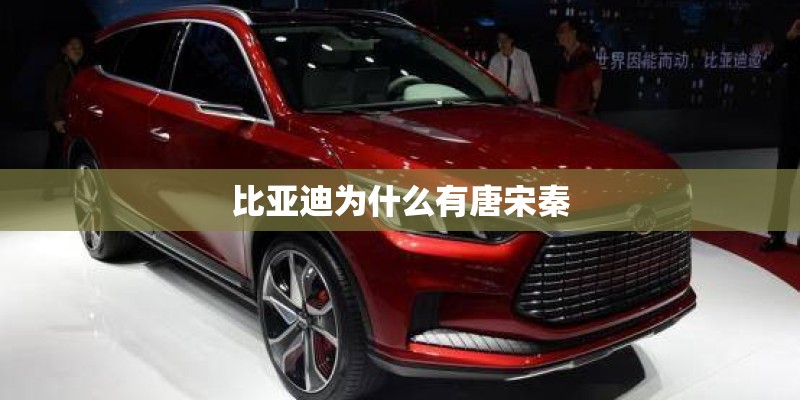 比亚迪为什么有唐宋秦