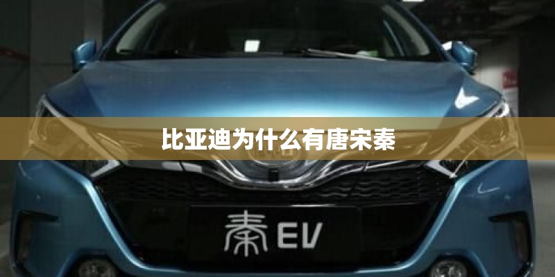 比亚迪为什么有唐宋秦