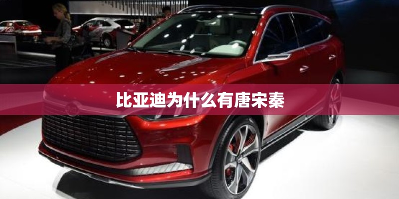 比亚迪为什么有唐宋秦