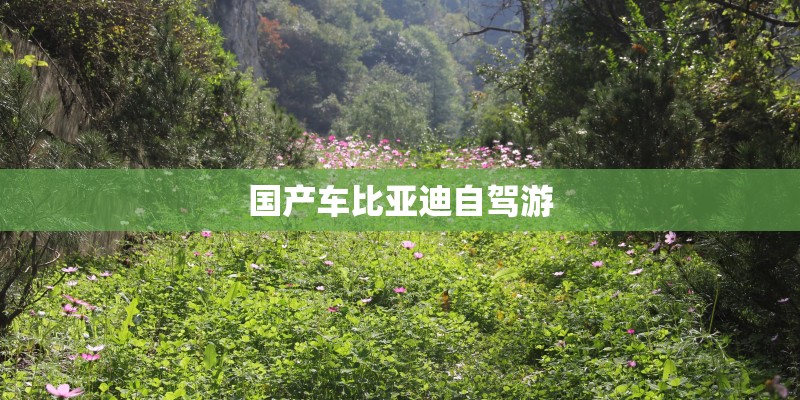 国产车比亚迪自驾游