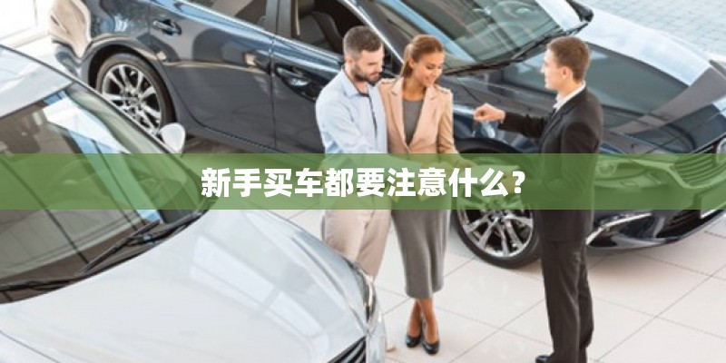 新手买车都要注意什么？