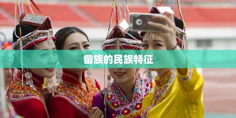 畲族的民族特征