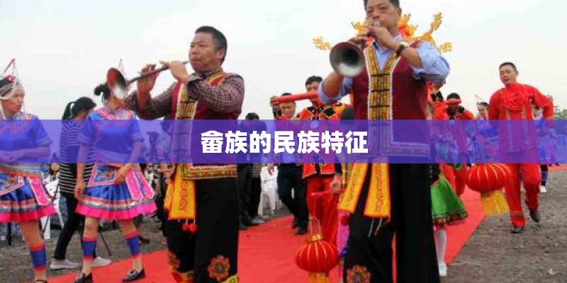 畲族的民族特征
