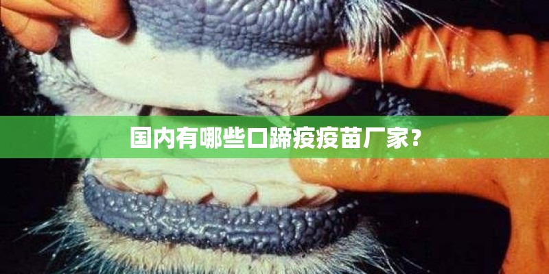 国内有哪些口蹄疫疫苗厂家？