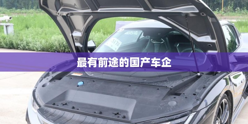 四级仔细阅读技巧
