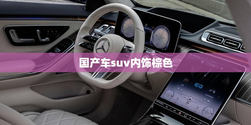 国产车suv内饰棕色