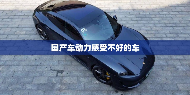 国产车动力感受不好的车