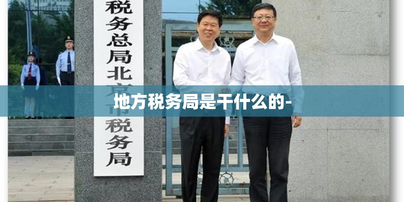 地方税务局是干什么的-