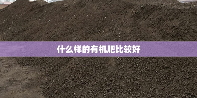 什么样的有机肥比较好