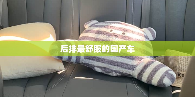 后排最舒服的国产车