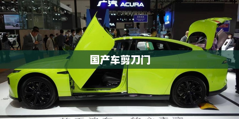国产车剪刀门