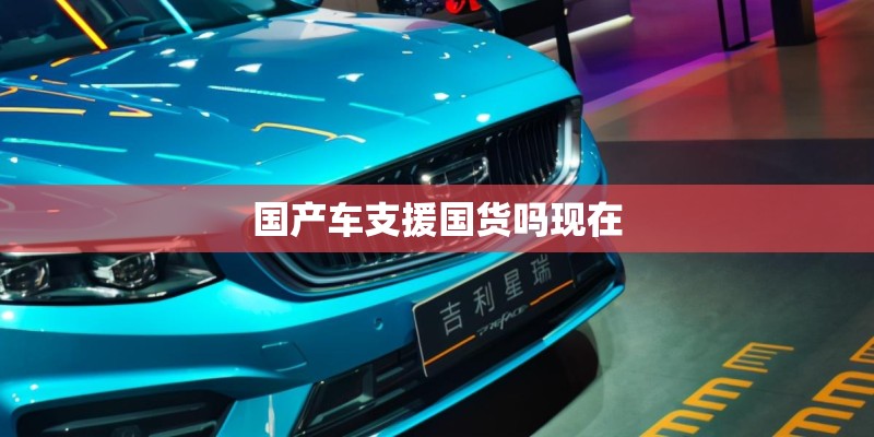 国产车支援国货吗现在