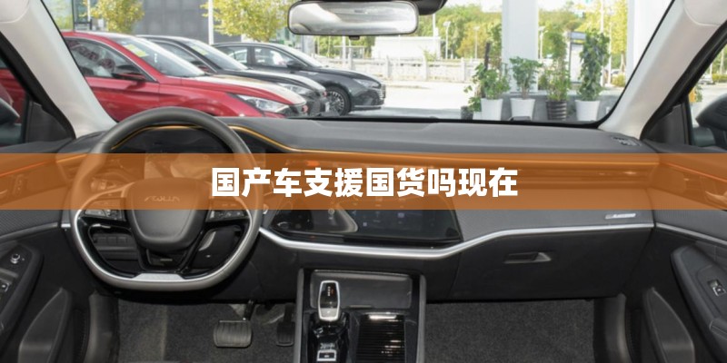 国产车支援国货吗现在