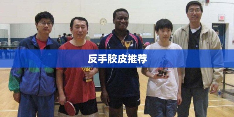 反手胶皮推荐