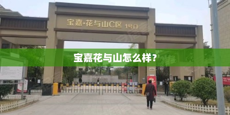 宝嘉花与山怎么样？