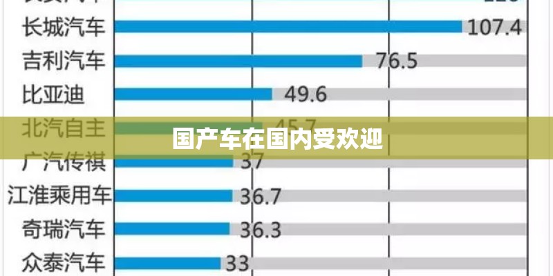 国产车在国内受欢迎