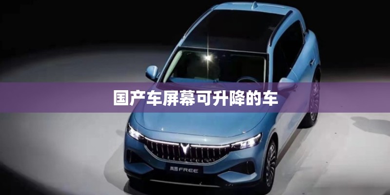 国产车屏幕可升降的车