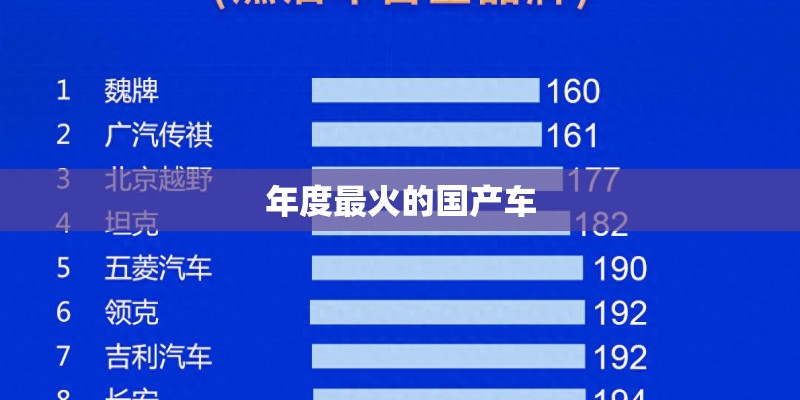 年度最火的国产车
