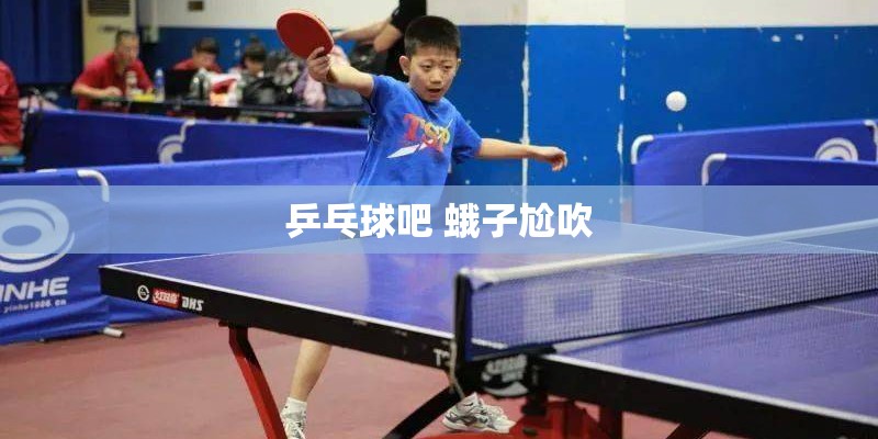 乒乓球吧 蛾子尬吹