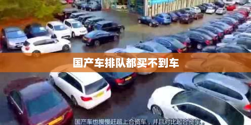 国产车排队都买不到车 国产车排队都买不到车