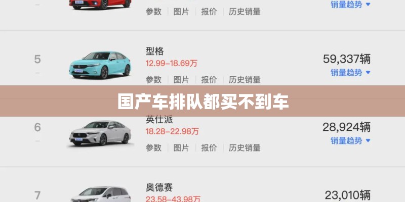 国产车排队都买不到车 国产车排队都买不到车