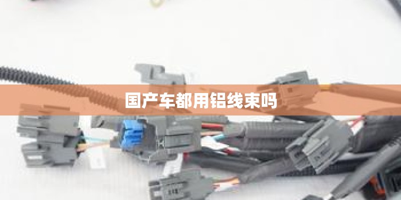 国产车都用铝线束吗 国产车都用铝线束吗