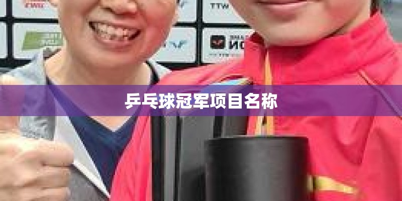 乒乓球冠军项目名称 乒乓球冠军项目名称