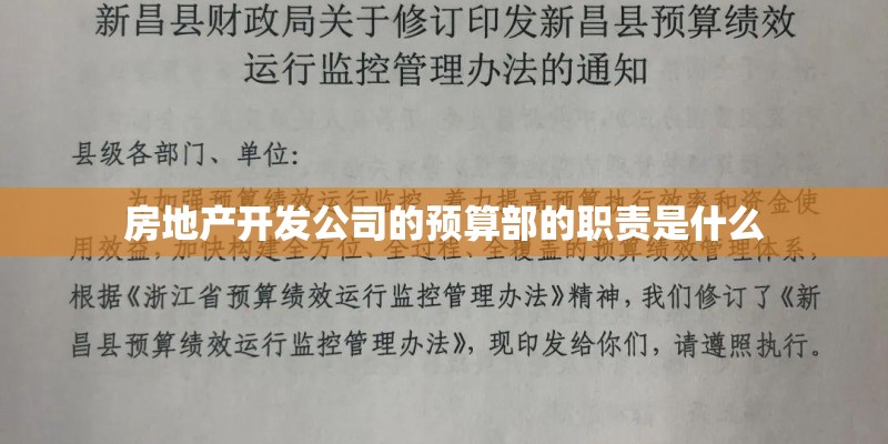 房地产开发公司的预算部的职责是什么