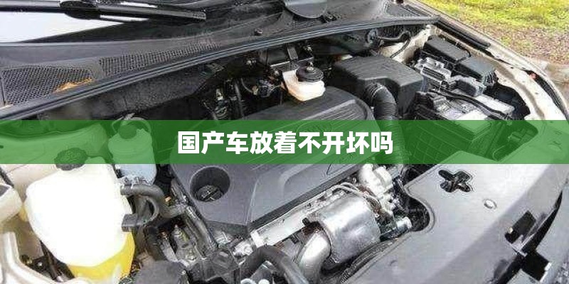后室中的眼球怪物是什么