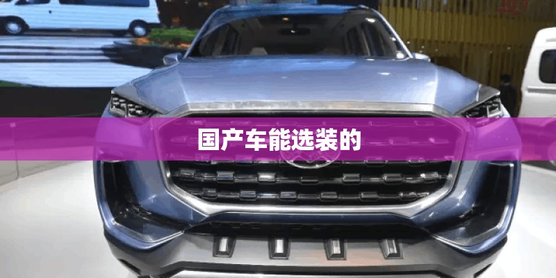 国产车能选装的 国产车能选装的