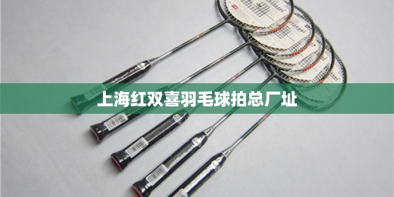 上海红双喜羽毛球拍总厂址 上海红双喜羽毛球拍总厂址