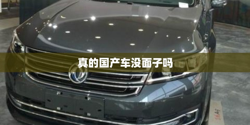 真的国产车没面子吗