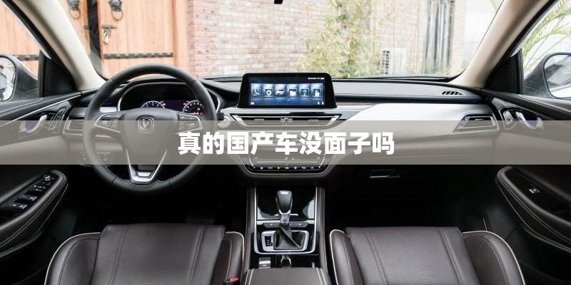 真的国产车没面子吗