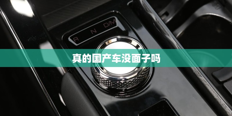 真的国产车没面子吗