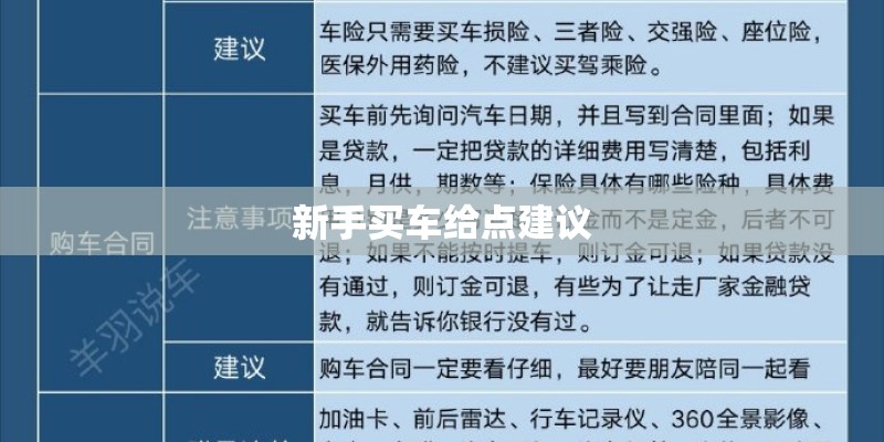 新手买车给点建议