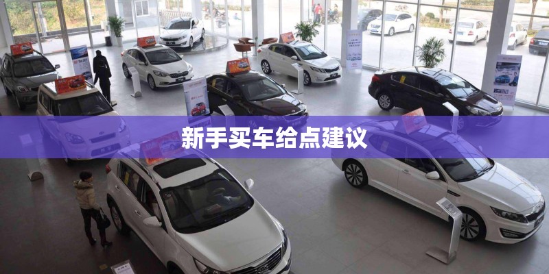 新手买车给点建议