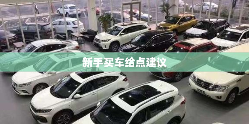 新手买车给点建议