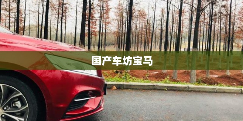 国产车坊宝马