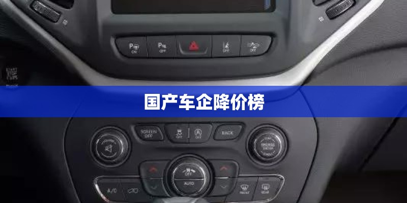 国产车企降价榜