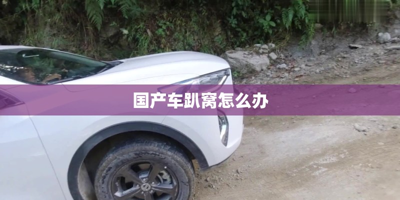 国产车趴窝怎么办 国产车趴窝怎么办