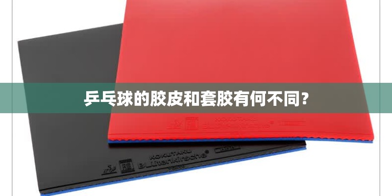 乒乓球的胶皮和套胶有何不同？
