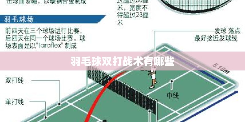 乒乓球。狂飙王底板贴什么套胶？