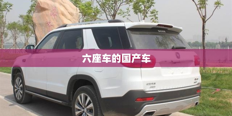 六座车的国产车