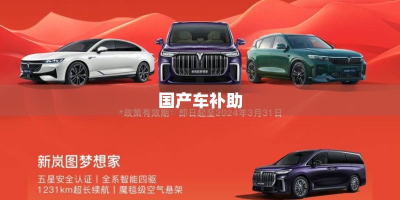 国产车补助 国产车补助