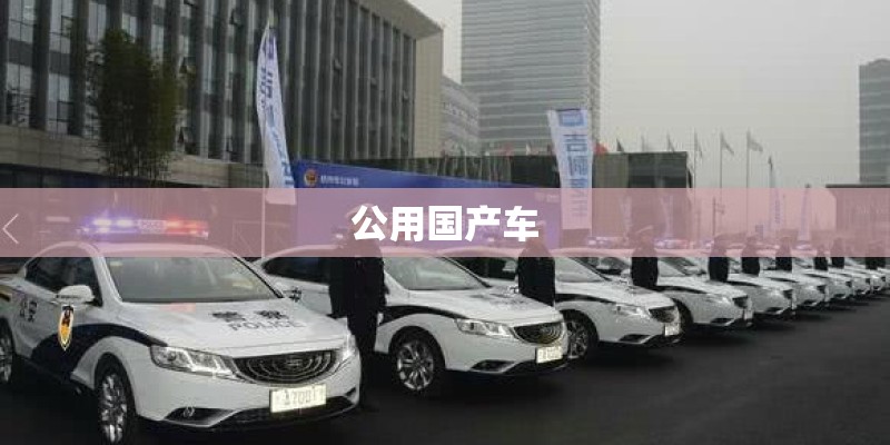 公用国产车