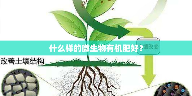 什么样的微生物有机肥好？